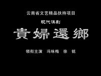 滇剧《贵妇还乡》全场，主演：冯咏梅 徐铭，玉溪市滇剧院