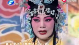 豫剧《打金枝》选段，刘忠河、苗文华  演唱戏曲视频MP4下载 